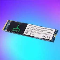BRYT BR-5001-46 PCIe NVMe Gen 3x4 SSD 256 GB Desktop, Laptop Internal Solid State Drive (SSD) (Read Speed up to 1800 MB/s & Write Speed up to 900 MB/s)(Interface: PCIe NVMe, Form Factor: M.2)