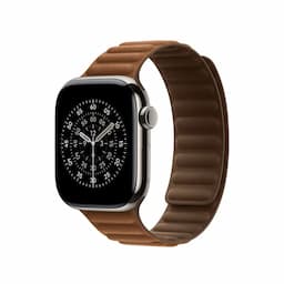 Apple MGD84ZM/A, 42mm Caramel Magnetic Link - S/M Watch Strap