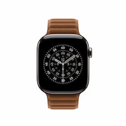Apple MGD84ZM/A, 42mm Caramel Magnetic Link - S/M Watch Strap