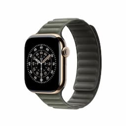 Apple MGDD4ZM/A, 42mm Sage Gray Magnetic Link - S/M Watch Strap