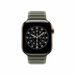 Apple MGDD4ZM/A, 42mm Sage Gray Magnetic Link - S/M Watch Strap