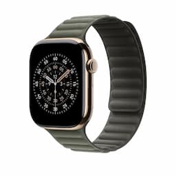 Apple MGDK4ZM/A, 46mm Sage Gray Magnetic Link - S/M Watch Strap