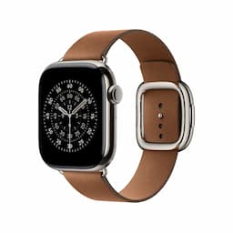 Apple MGG54ZM/A, 42mm Caramel Modern Buckle - Large Watch Strap