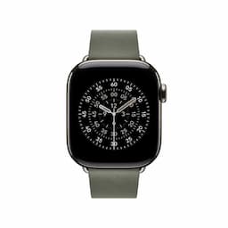 Apple MGG94ZM/A, 42mm Sage Gray Modern Buckle - Small Watch Strap
