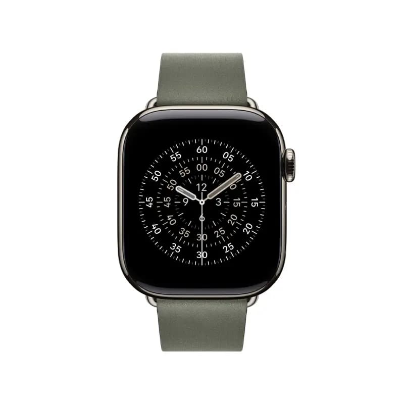 Apple MGGC4ZM/A, 42mm Sage Gray Modern Buckle - Large Watch Strap