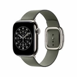Apple MGGC4ZM/A, 42mm Sage Gray Modern Buckle - Large Watch Strap