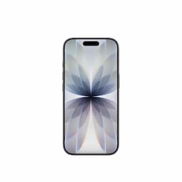 Apple iPhone 17 MG6J4HN/A, A19 chip,15.93 cm / 6.3 inch (diagonal) Display, iOS 26, 256 GB Storage, All 48MP Rear cameras, 18MP Center Stage Front Camera, Black - HIN